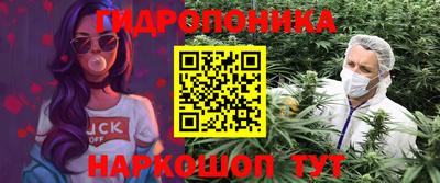 тгк Гусь-Хрустальный
