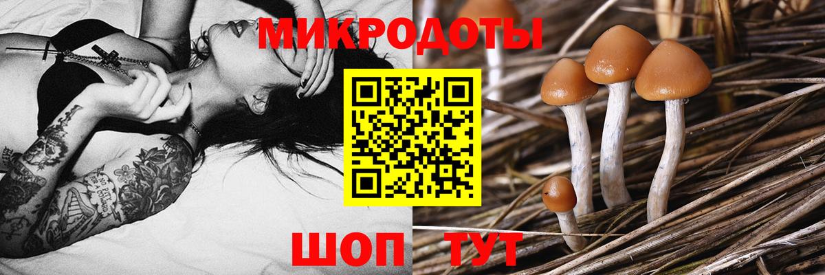 наркота  Вход с VPN  Назарово  Галлюциногенные грибы Magic Shrooms 